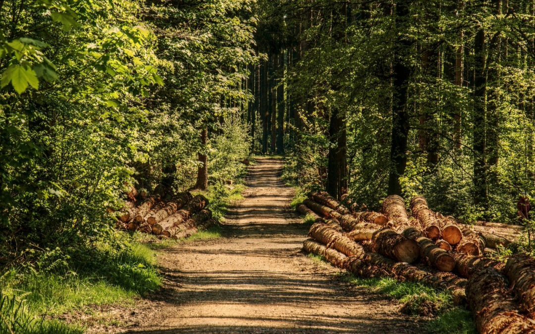 Nieuwe wet aangenomen tegen greenwashing