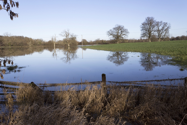 Nederland waterland en toch watertekort: wat betekent dat voor de branche?